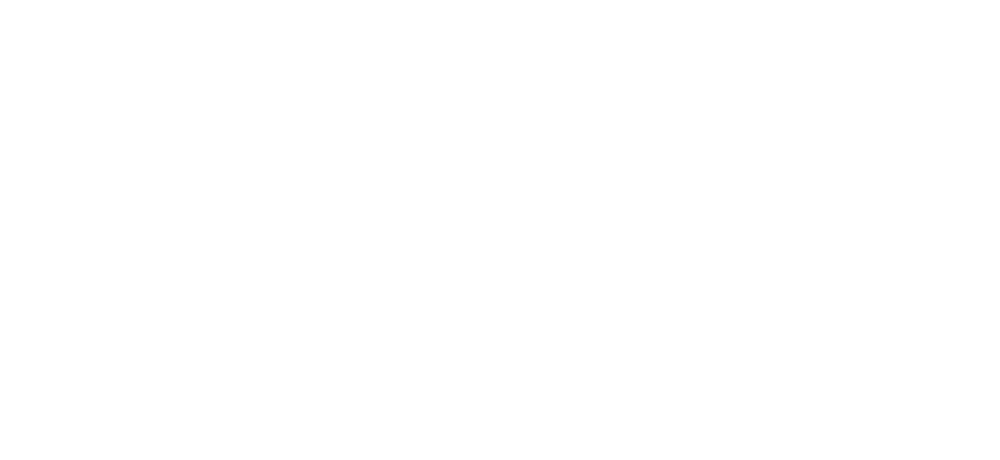 Travel & EAI Systems